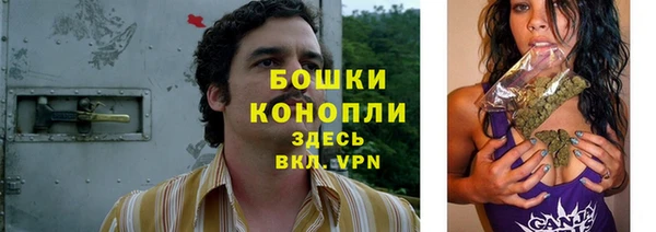 прущие грибы Абаза