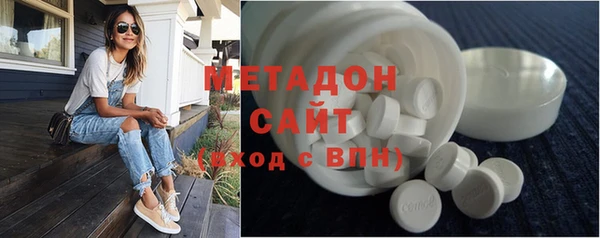прущие грибы Абаза
