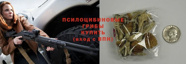 прущие грибы Абаза