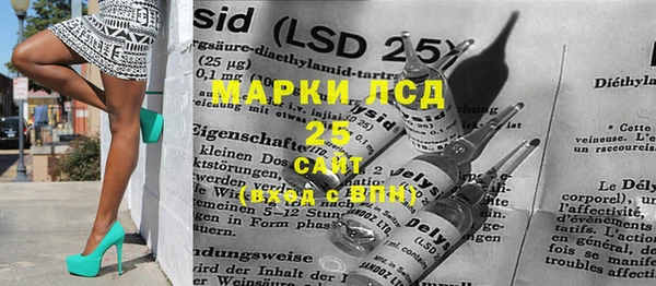 прущие грибы Абаза