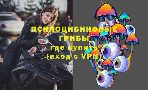 прущие грибы Абаза