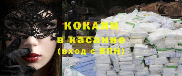 прущие грибы Абаза