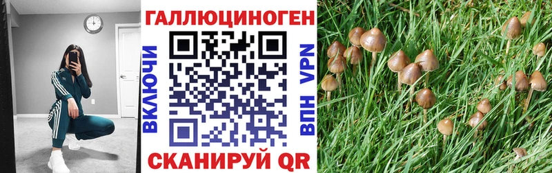 Псилоцибиновые грибы Magic Shrooms  купить закладку  Вышний Волочёк 